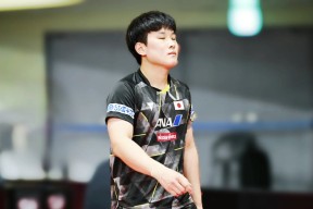 九游体育网站入口 -广东宏远集团陈林家族